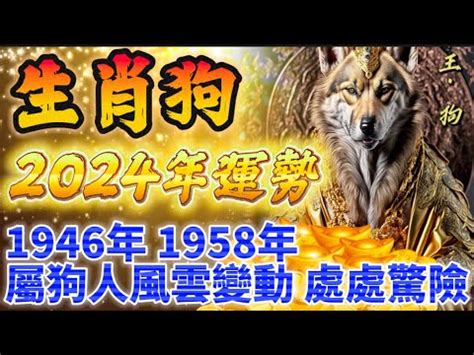 狗五行屬性|【狗五行屬什麼】揭曉生肖狗五行之謎：屬狗五行屬什麼？影響性。